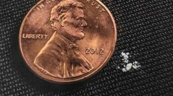 2 mg Of Fentanyl-What Does One Milligram Of Powder Substance Look Like?