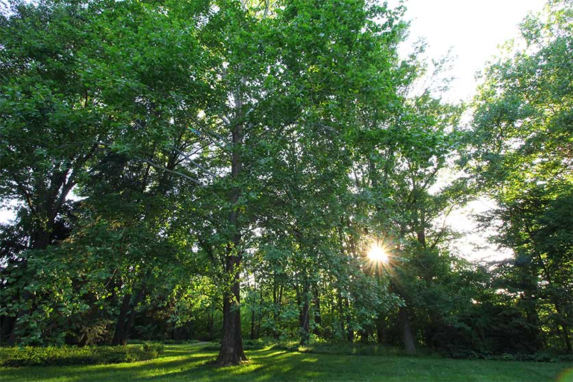 Sunset At Inniswood Metro Gardens In Westerville-Westerville, Ohio Alcohol & Drug Rehab Services