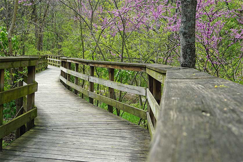 Bridge In Forest Park-Forest Park, Ohio Alcohol & Drug Rehab Services
