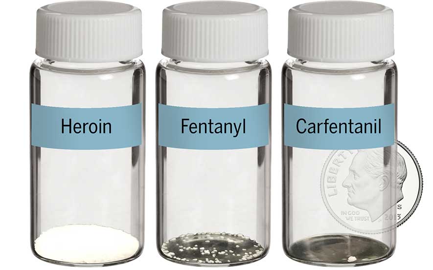 Lethal Dosage Of 3 Opioids-What Is A Lethal Dose Of Carfentanil? | Carfentanil Overdose