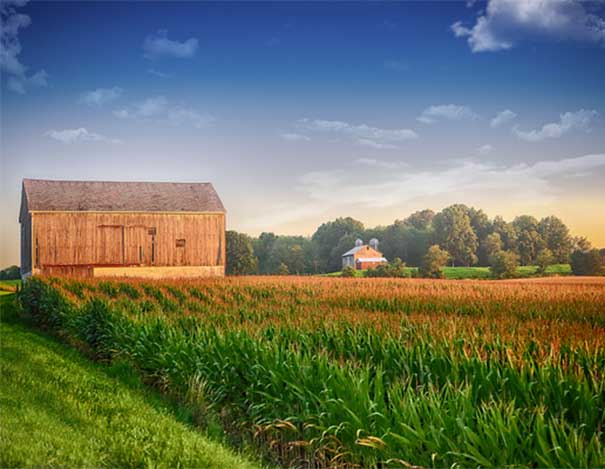 Farm In Columbiana County, OH-Columbiana County Drug Rehab & Addiction Services