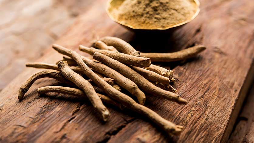 What Is Ibogaine?