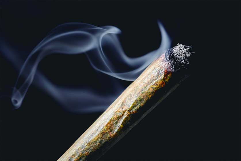 Marijuana Joint-Effects & Risks Of Smoking Marijuana