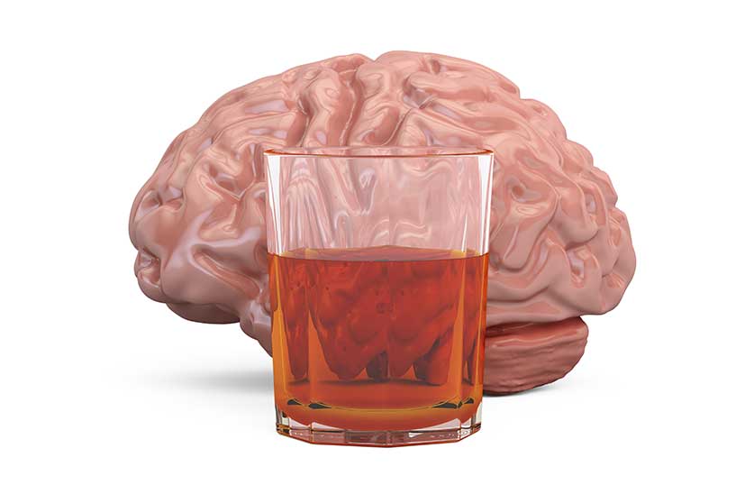 Alcohol & The Brain-The Effects Of Alcohol On The Brain
